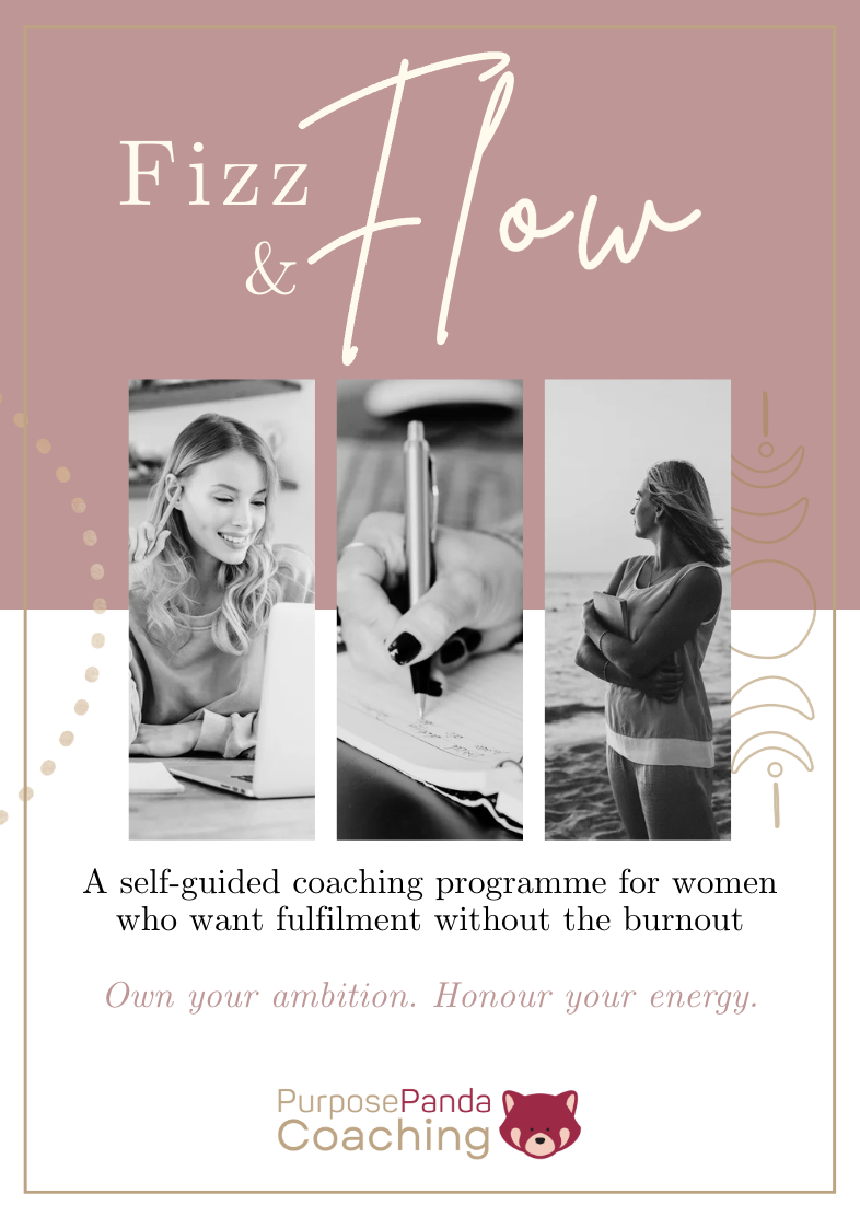 Fizz & Flow printable PDF coaching workbook preview Fizz & Flow printable PDF coaching workbook preview