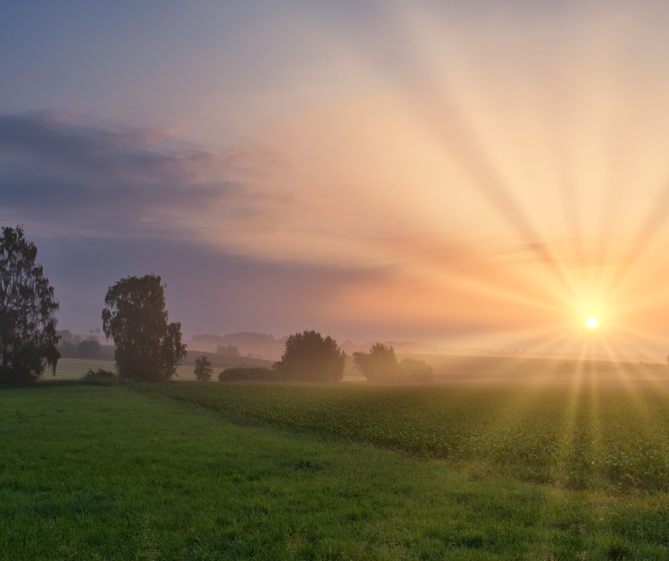 Are You Practicing Stress Every Morning?